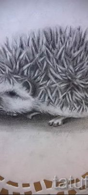 fotografija ježa tetovaža - primjeri za članak o značenju tetovaža jež - tatufoto.ru -2
