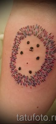 fotografija ježa tetovaža - primjeri za članak o značenju tetovaža jež - tatufoto.ru -1