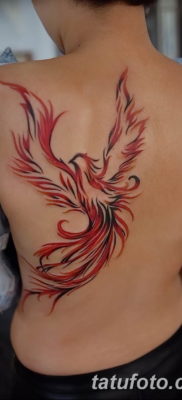 Fotó egy főnix tetoválásról lányoknak 2019.07.18. №013 - Főnix tetoválás lányoknak -