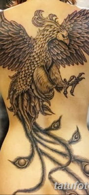 Fénykép egy főnix tetoválásról lányoknak 2019.07.18. №045 - tetováló főnix lányoknak -