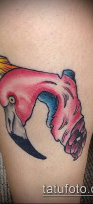 photo FLAMINGO TATTOO (وشم) (قيمة) - مثال للرسم - 002
