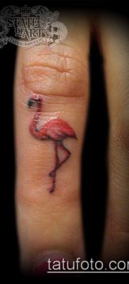 photo FLAMINGO TATTOO (وشم) (قيمة) - مثال للرسم - 005