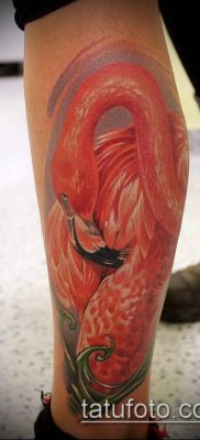 photo FLAMINGO TATTOO (وشم) (قيمة) - مثال للرسم - 007
