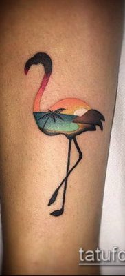 photo FLAMINGO TATTOO (وشم) (قيمة) - مثال رسم - 013