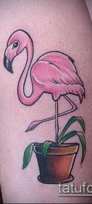 photo FLAMINGO TATTOO (وشم) (قيمة) - مثال رسم - 016