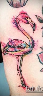 photo FLAMINGO TATTOO (وشم) (قيمة) - مثال رسم - 017