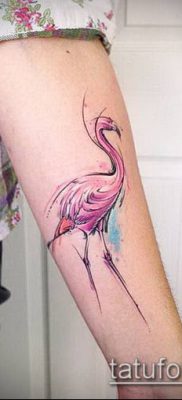 photo FLAMINGO TATTOO (وشم) (قيمة) - مثال رسم - 019