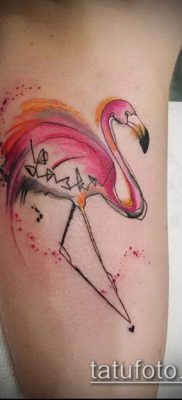 photo FLAMINGO TATTOO (وشم) (قيمة) - مثال رسم - 020