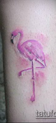 photo FLAMINGO TATTOO (وشم) (قيمة) - مثال رسم - 025