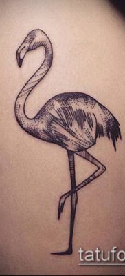 photo FLAMINGO TATTOO (وشم) (قيمة) - مثال رسم - 029