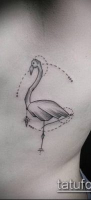 photo FLAMINGO TATTOO (وشم) (قيمة) - مثال رسم - 033