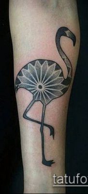 photo FLAMINGO TATTOO (وشم) (قيمة) - مثال رسم - 035