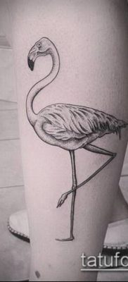 photo FLAMINGO TATTOO (وشم) (قيمة) - مثال رسم - 043