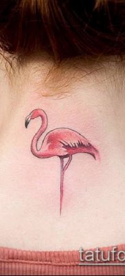 photo FLAMINGO TATTOO (وشم) (قيمة) - مثال رسم - 046