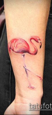 photo FLAMINGO TATTOO (وشم) (قيمة) - مثال رسم - 047