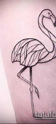 photo FLAMINGO TATTOO (وشم) (قيمة) - مثال رسم - 049