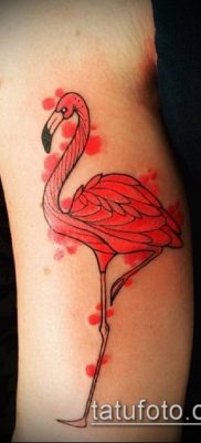 photo FLAMINGO TATTOO (وشم) (قيمة) - مثال رسم - 051
