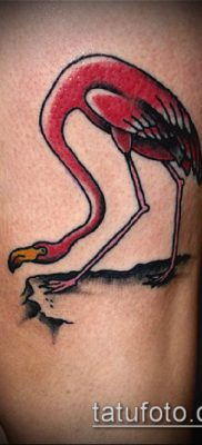 photo FLAMINGO TATTOO (وشم) (قيمة) - مثال رسم - 052