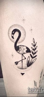 photo FLAMINGO TATTOO (وشم) (قيمة) - مثال رسم - 053