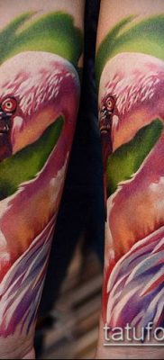 photo FLAMINGO TATTOO (وشم) (قيمة) - مثال رسم - 057