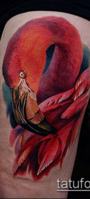 photo FLAMINGO TATTOO (وشم) (قيمة) - مثال رسم - 058