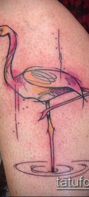 photo FLAMINGO TATTOO (وشم) (قيمة) - مثال رسم - 059