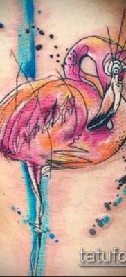 FLAMINGO TATTOO # 249 هو نسخة رائعة من النمط الذي يمكن استخدامه بنجاح للمعالجة والتطبيق كوشم فلامنغو على الساق