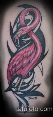 FLAMINGO TATTOO # 522 هو خيار تصميم رائع يمكن استخدامه بسهولة للتحويل والتطبيق كوشم فلامنغو