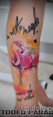 FLAMINGO TATTOO رقم 37 - نسخة فريدة من النمط يمكن استخدامها بنجاح للمعالجة والتطبيق كوشم فلامنغو