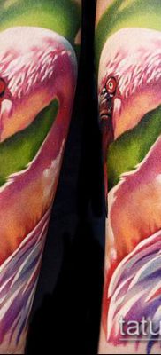 FLAMINGO TATTOO №879 - نسخة مثيرة للاهتمام من النمط ، والتي يمكن استخدامها بنجاح للتغيير والتطبيق كوشم فلامنغو على الساق