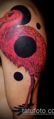 FLAMINGO TATTOO №58 - نسخة حصرية من النمط ، والتي يمكن استخدامها بنجاح للتغيير والتطبيق كوشم فلامنغو على الساق
