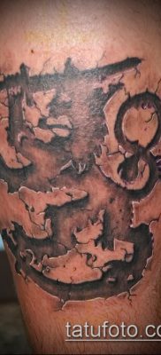 fotografija tetovaže grba (značenje) - primjer zanimljivog dizajna tetovaže - 060