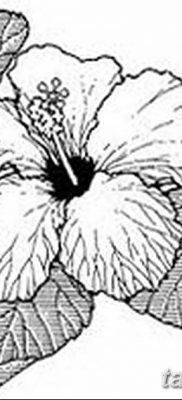 снимка на татуировка на хибискус от 20.04.2018 г. №090 - татуировка хибискус -