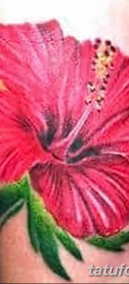 снимка на татуировка на хибискус от 20.04.2018 г. №076 - татуировка хибискус -