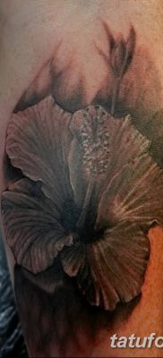 снимка на татуировка Hibiscus от 20.04.2018 г. №046 - татуировка Hibiscus -