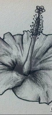 снимка на татуировка на хибискус от 20.04.2018 г. №051 - татуировка хибискус -