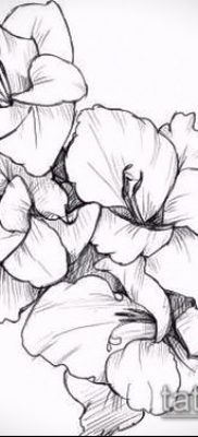Fotó a gladiolus tetoválásról - példa rajz - 30052017 - példa - 008 Tattoo gladiolus