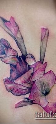 Fotó a kardvirág tetoválásról - példa rajz - 30052017 - példa - 012 Tetováló kardvirág