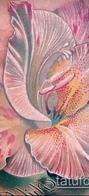 Fotó a kardvirág tetoválásról - példa rajz - 30052017 - példa - 048 Tetováló kardvirág