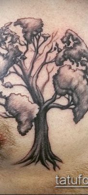 Снимка на татуировка на глобус - примерна рисунка - 26052017 - пример - 089 глобус на татуировка