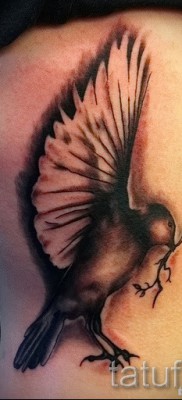 Снимка на татуировка на гълъб отстрани (на ребрата)