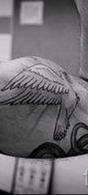 Снимка на татуировка на гълъб на бицепс за човек