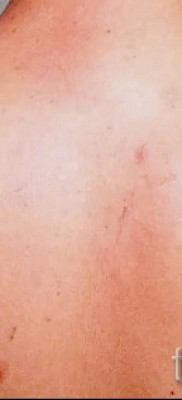 Снимка на татуировка на гълъб - двойна татуировка на лопатките