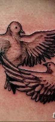 снимка на татуировка на гълъб от 02.02.2018 г. №009 - татуировка на гълъб -