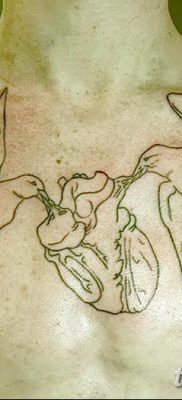 снимка на татуировка на гълъб от 02.02.2018 г. №014 - татуировка на гълъб -