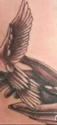 снимка на татуировка на гълъб от 02.02.2018 г. №018 - татуировка на гълъб -