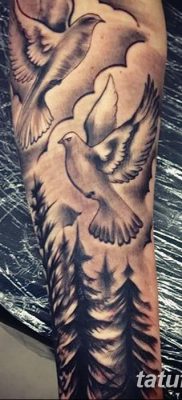 снимка на татуировка на гълъб от 02.02.2018 г. №041 - татуировка на гълъб -