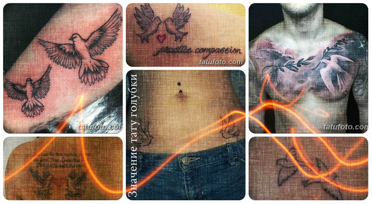 Betydningen af ​​en due -tatovering - en samling fototegninger med færdige tatoveringer