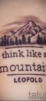 foto-tatu-gory-dlya-stati-pro-znachenie-tatuirovki-s-risunkom-gor-020-tatufoto-ru