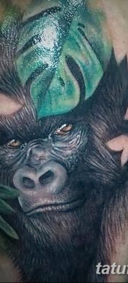 снимка на татуировка на горила от 27.08.2017 г. №022 - Горила татуировка -
